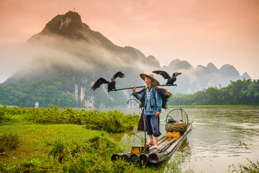 yangshuo-cormoran